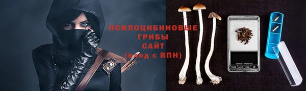 эйфоретик Аркадак