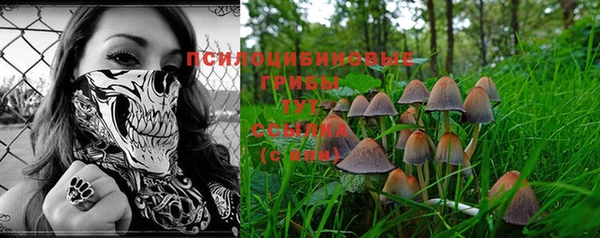эйфоретик Аркадак