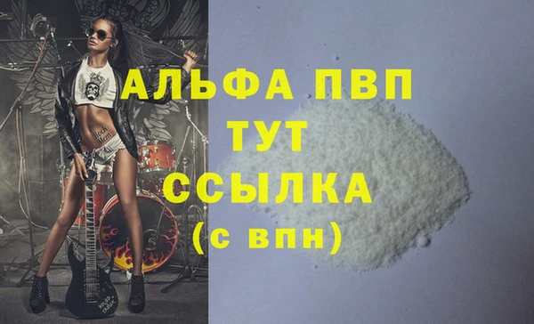 стафф Алзамай