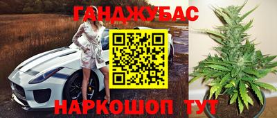 наркотики Кингисепп