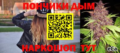 наркотики Кингисепп