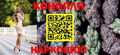 наркотики Кингисепп