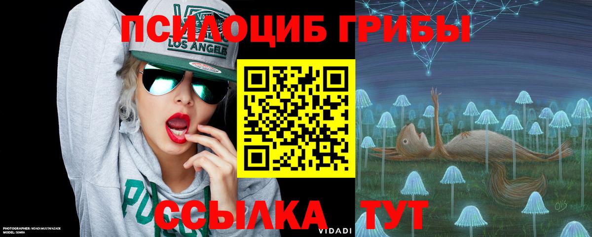 Галлюциногенные грибы Psilocybe Лянтор