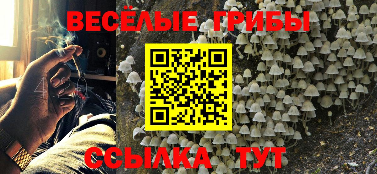 Лянтор  Псилоцибиновые грибы MAGIC MUSHROOMS  Вход с VPN 